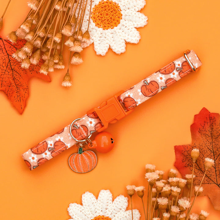 Cutest In The Patch - Light Orange Pumpkin Daisy Fall Cat Collar