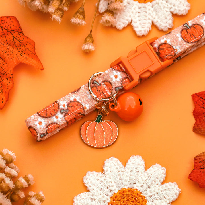 Cutest In The Patch - Light Orange Pumpkin Daisy Fall Cat Collar