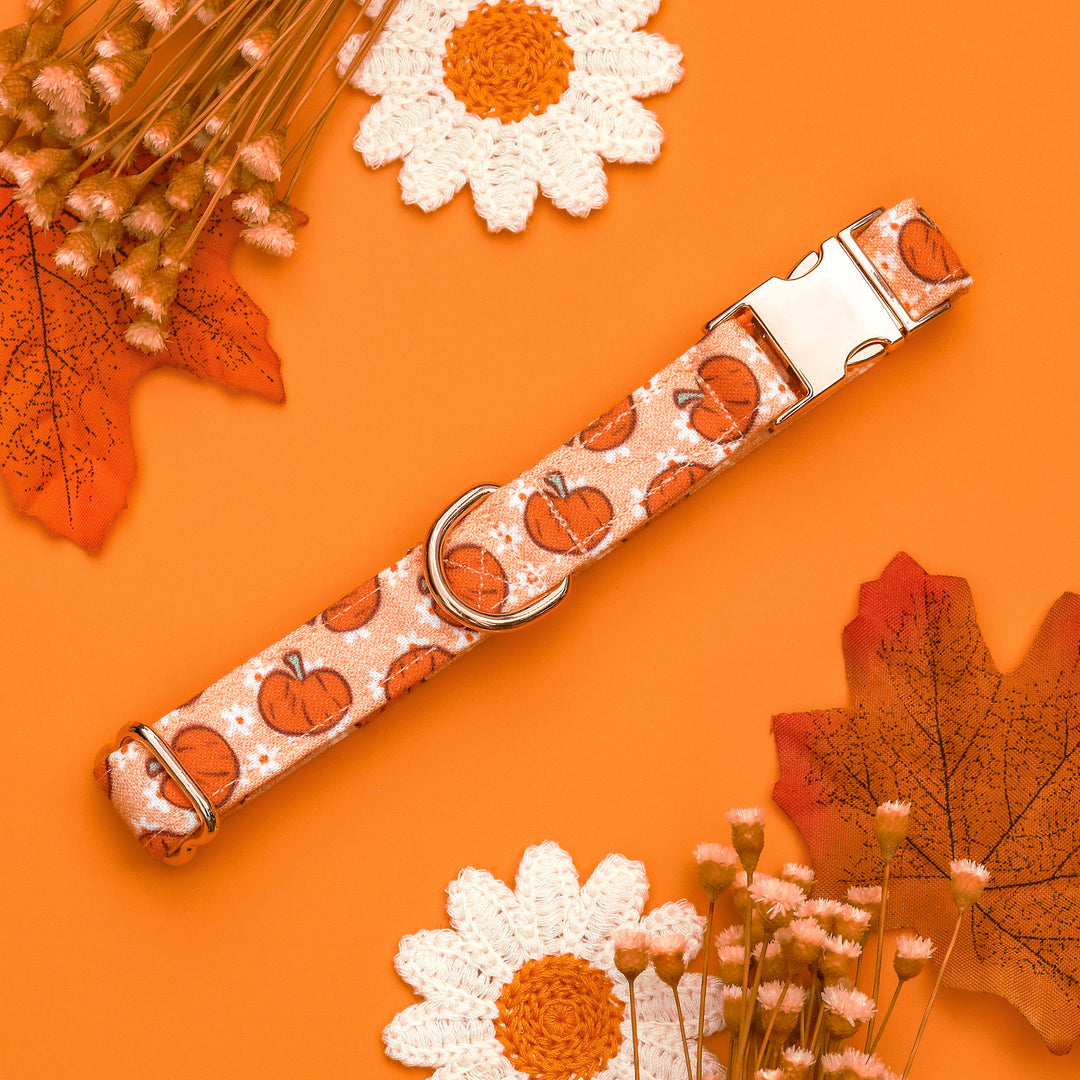 Cutest In The Patch - Light Orange Pumpkin Daisy Fall Dog Collar