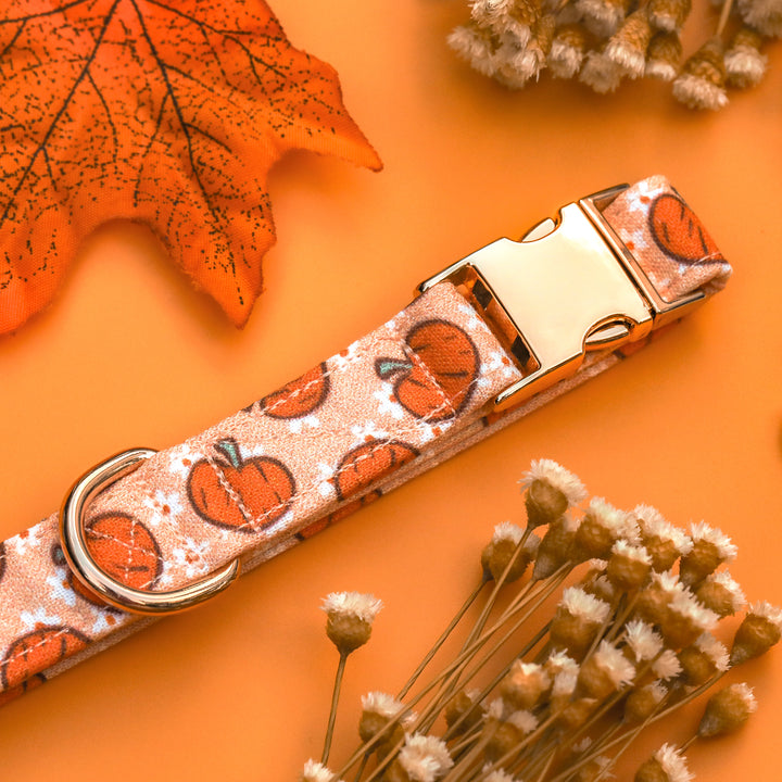 Cutest In The Patch - Light Orange Pumpkin Daisy Fall Dog Collar