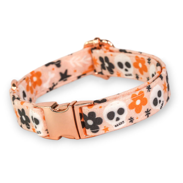 Dead Inside - Peach Daisy Skull Halloween Dog Collar