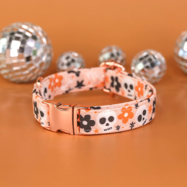 Dead Inside - Peach Daisy Skull Halloween Dog Collar