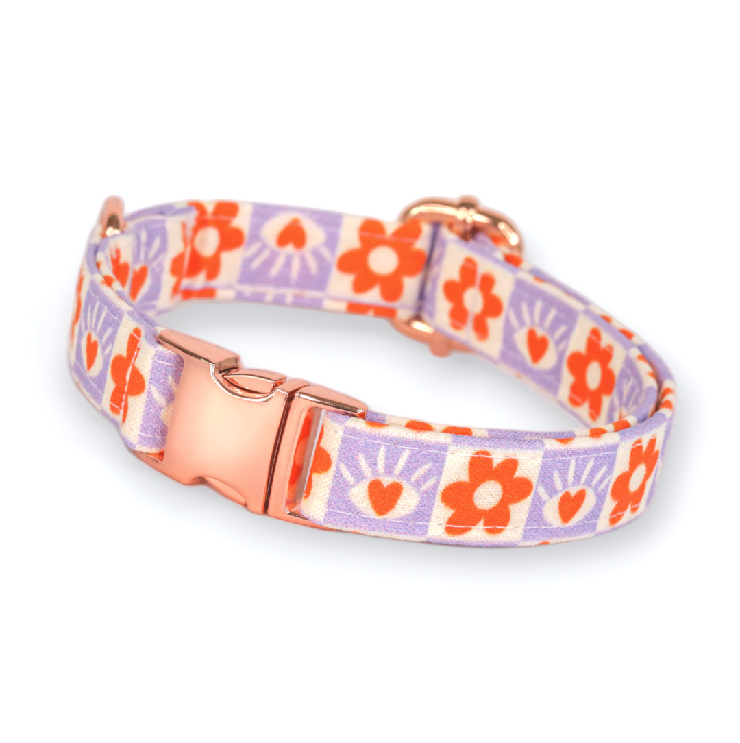 Eye Heart You - Daisy & Eye Checked Dog Collar