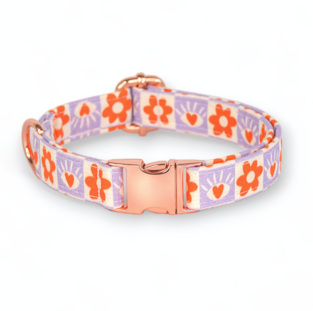 Eye Heart You - Daisy & Eye Checked Dog Collar