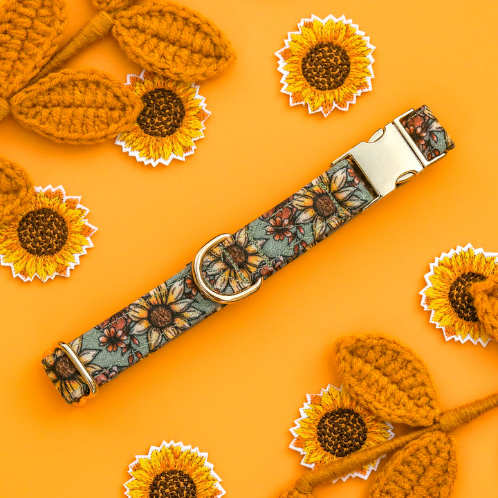 Fall Foilage - Green Sunflower Floral Dog Collar