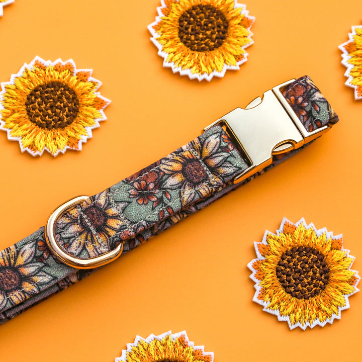 Fall Foilage - Green Sunflower Floral Dog Collar