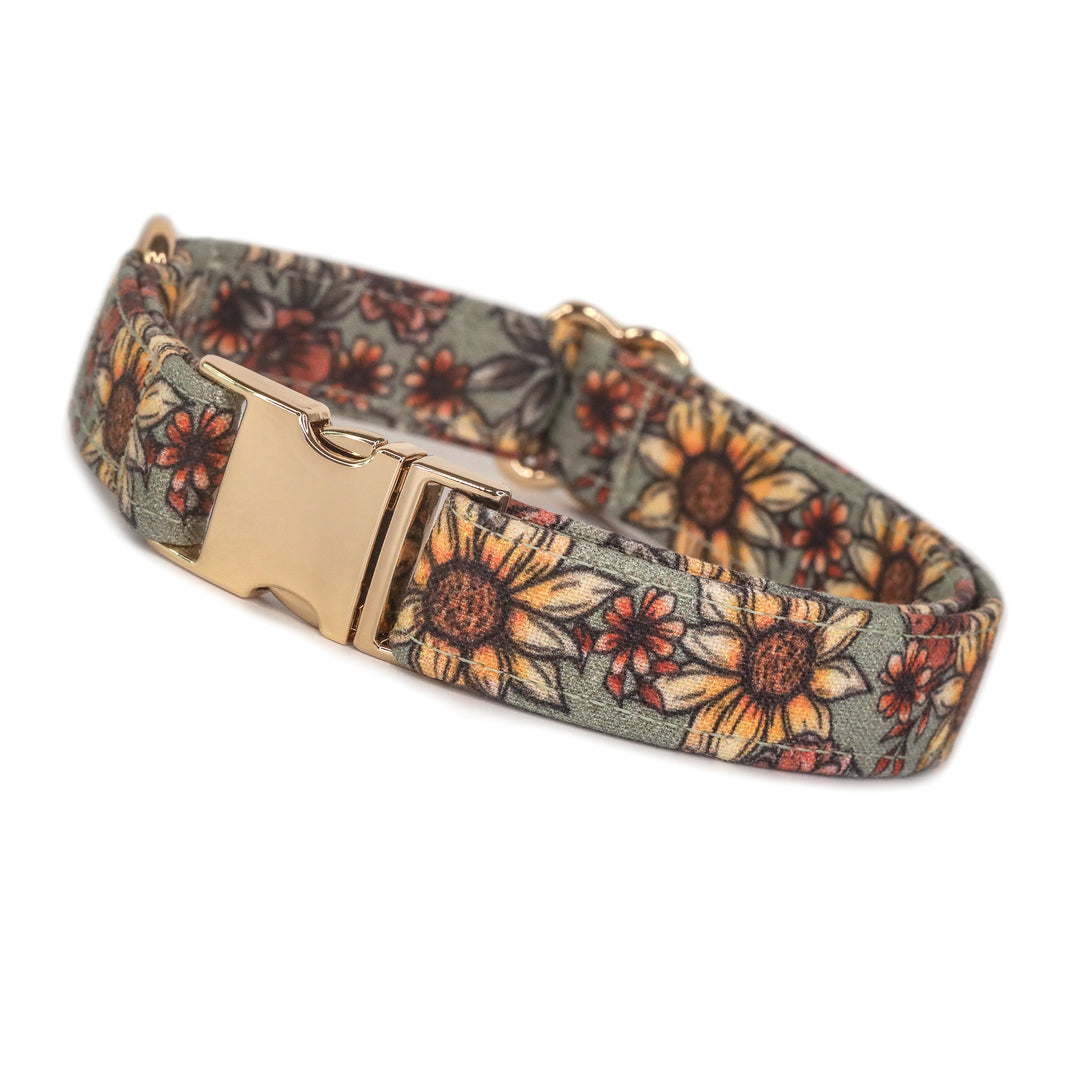 Fall Foilage - Green Sunflower Floral Dog Collar