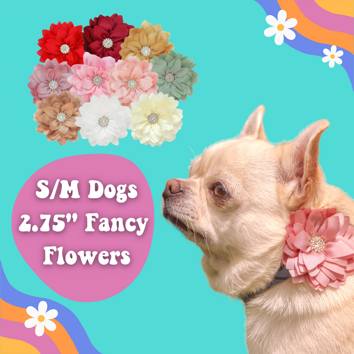 2.75" Small / Medium Fancy Dog Collar Flowers