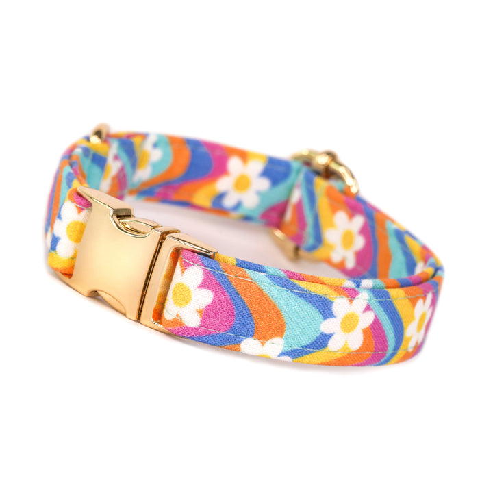 Flower Power - Colorful Wavy Daisy Dog Collar