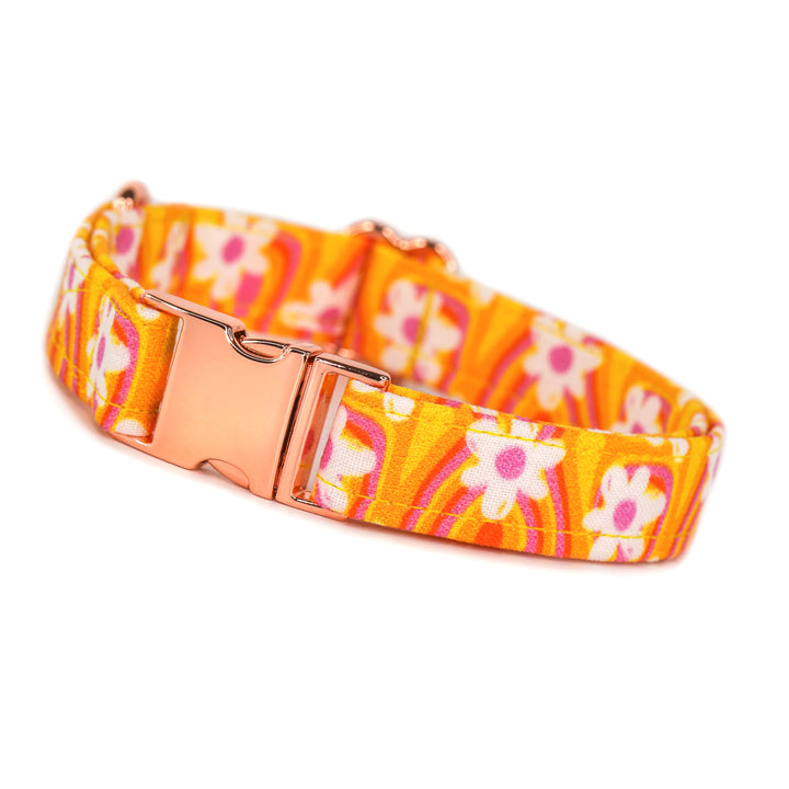 Groovy Babe - Vibrant Daisy Dog Collar