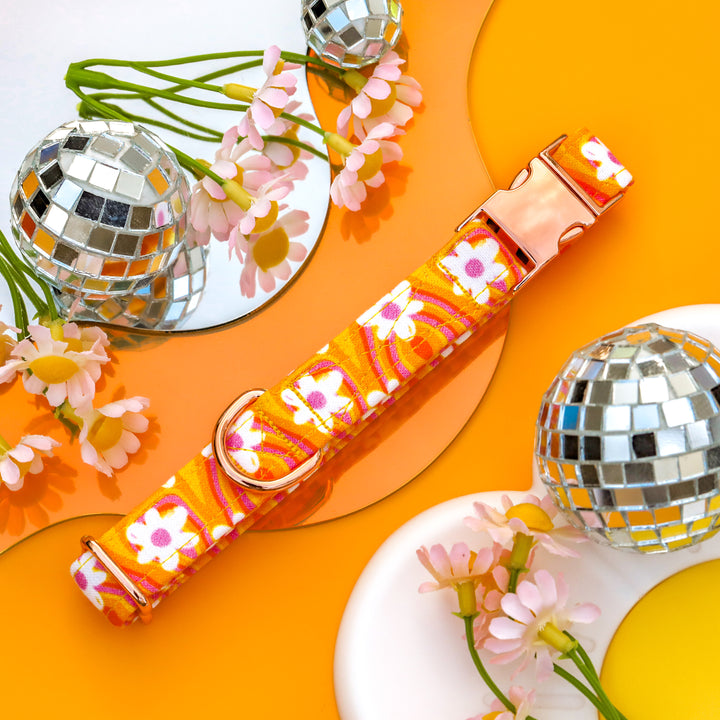 Groovy Babe - Vibrant Daisy Dog Collar