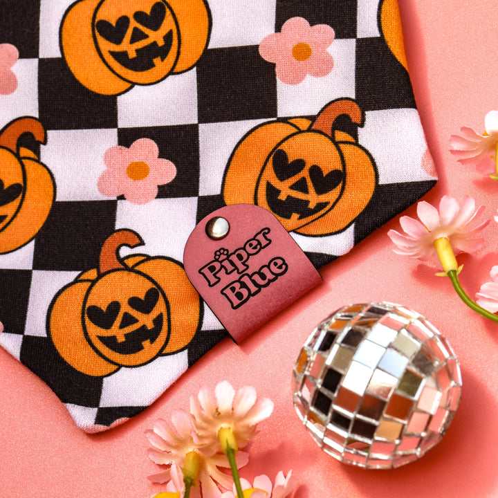 Hauntingly GOURD-geous - Daisy Pumpkin Checkered Halloween Pet Bandana