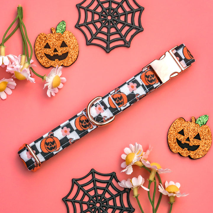 Hauntingly GOURD-geous - Girly Pumpkins Checkered Halloween Dog Collar