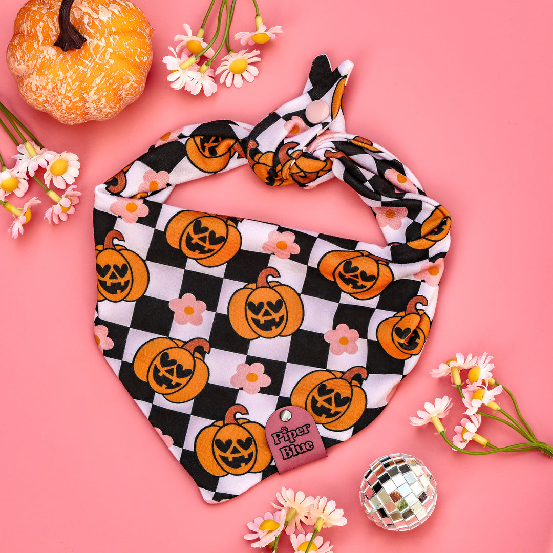 Hauntingly GOURD-geous - Daisy Pumpkin Checkered Halloween Pet Bandana