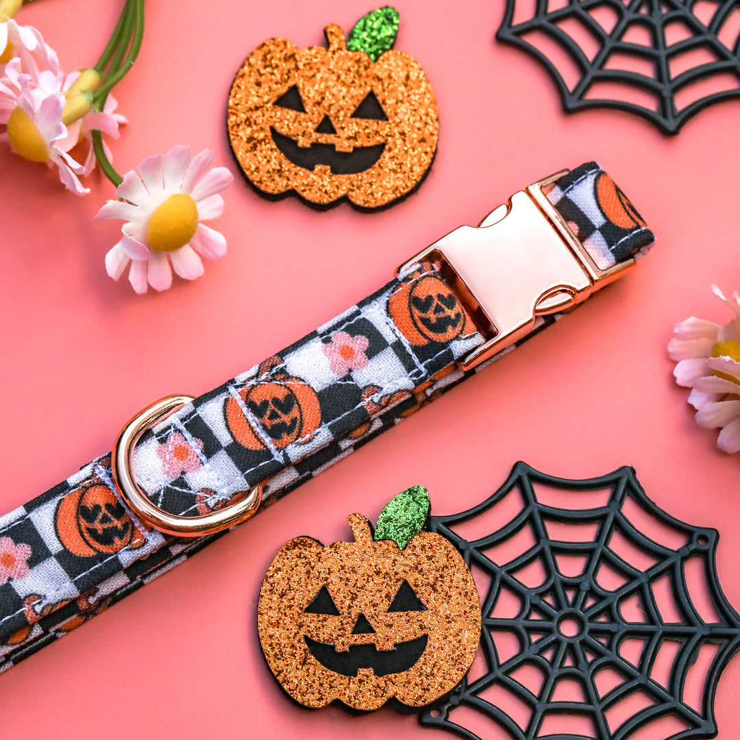 Hauntingly GOURD-geous - Girly Pumpkins Checkered Halloween Dog Collar