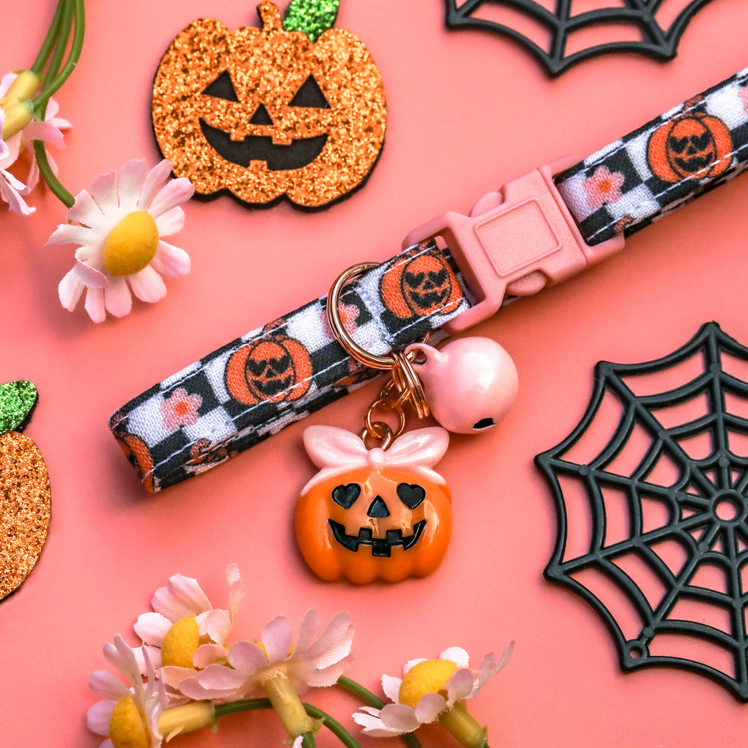 Hauntingly GOURD-geous - Girly Pumpkins Checkered Halloween Cat Collar