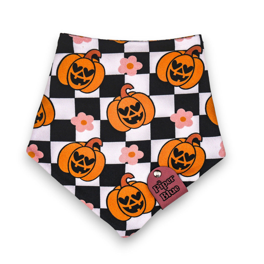 Hauntingly GOURD-geous - Daisy Pumpkin Checkered Halloween Pet Bandana