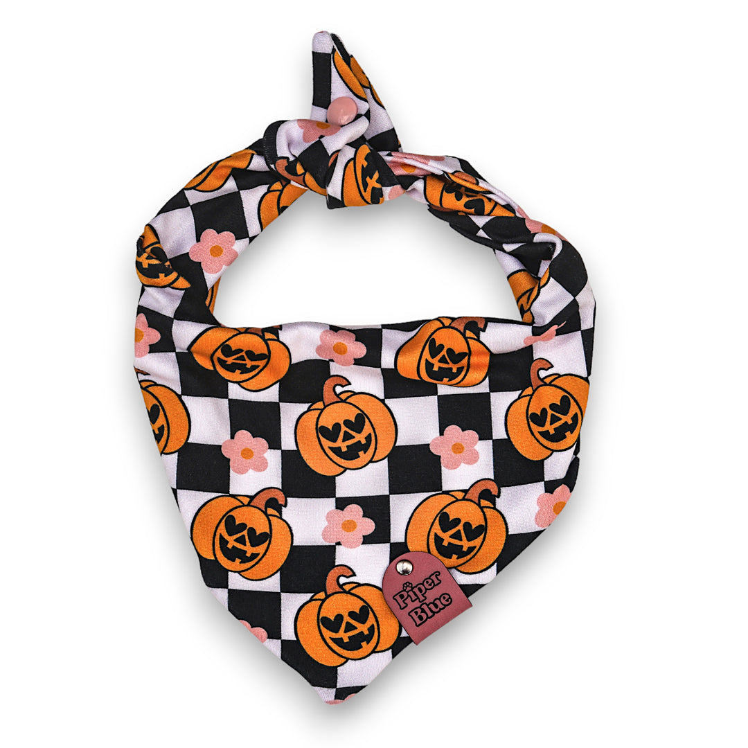 Hauntingly GOURD-geous - Daisy Pumpkin Checkered Halloween Pet Bandana