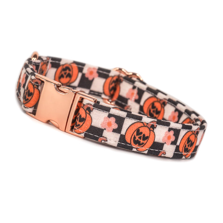 Hauntingly GOURD-geous - Girly Pumpkins Checkered Halloween Dog Collar