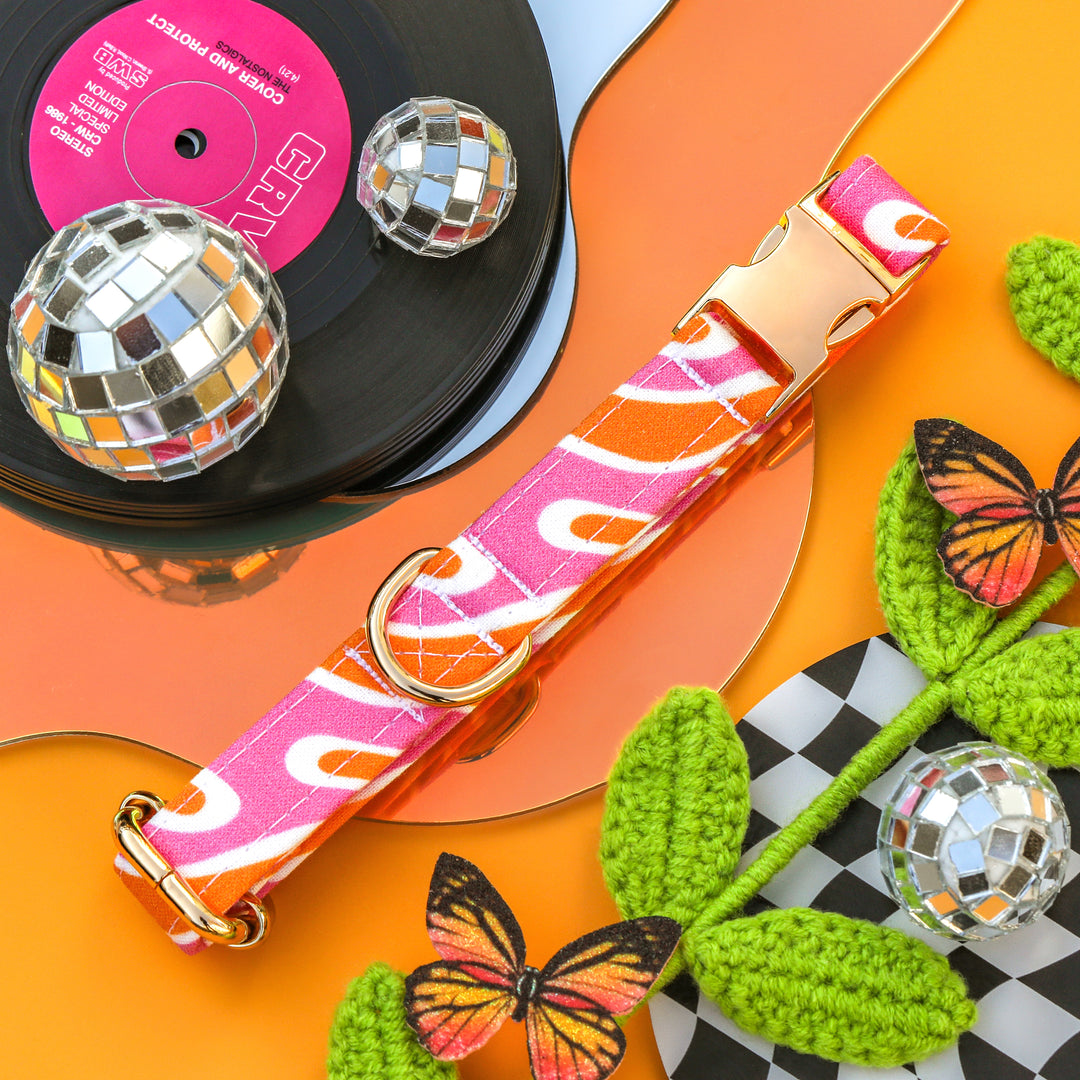 Heat Wave - Retro Hot Pink and Orange Swirled Dog Collar