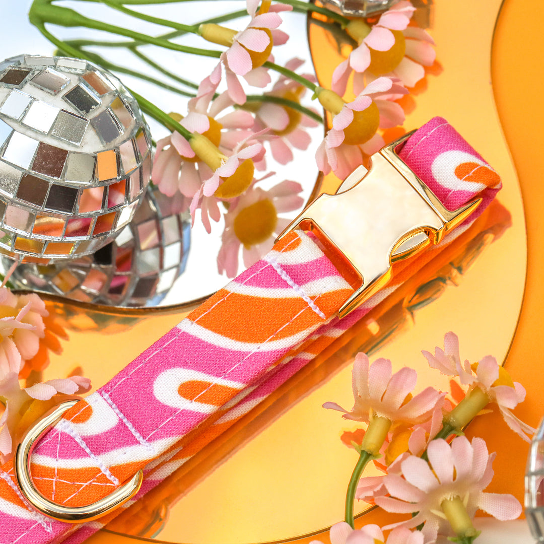 Heat Wave - Retro Hot Pink and Orange Swirled Dog Collar