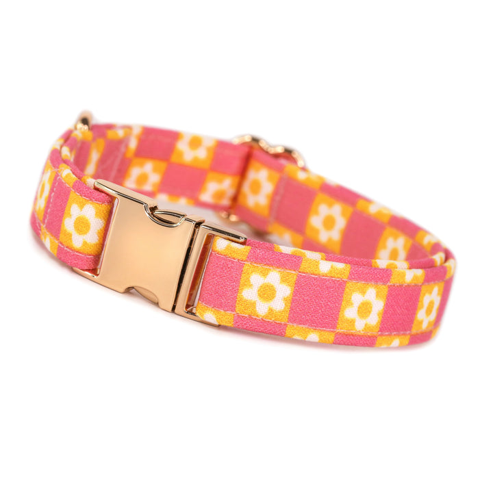 Helga - Pink and Yellow Daisy Checkered Dog Collar