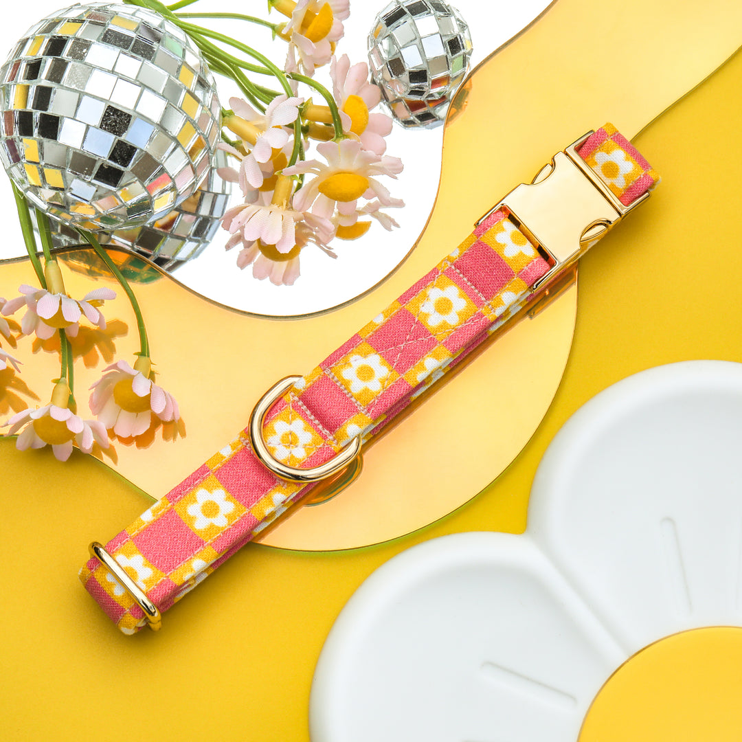 Helga - Pink and Yellow Daisy Checkered Dog Collar