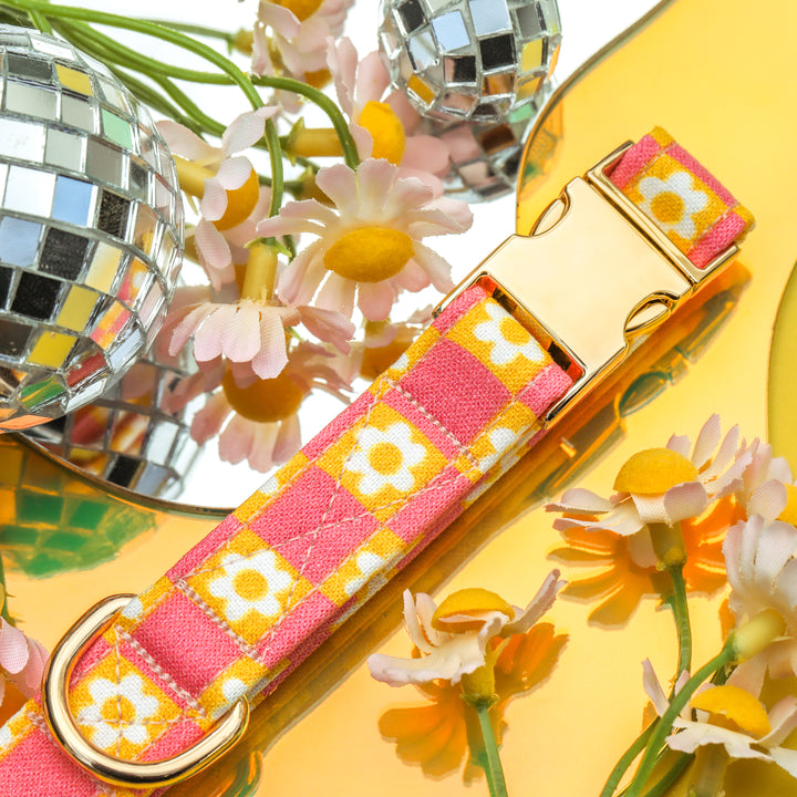 Helga - Pink and Yellow Daisy Checkered Dog Collar