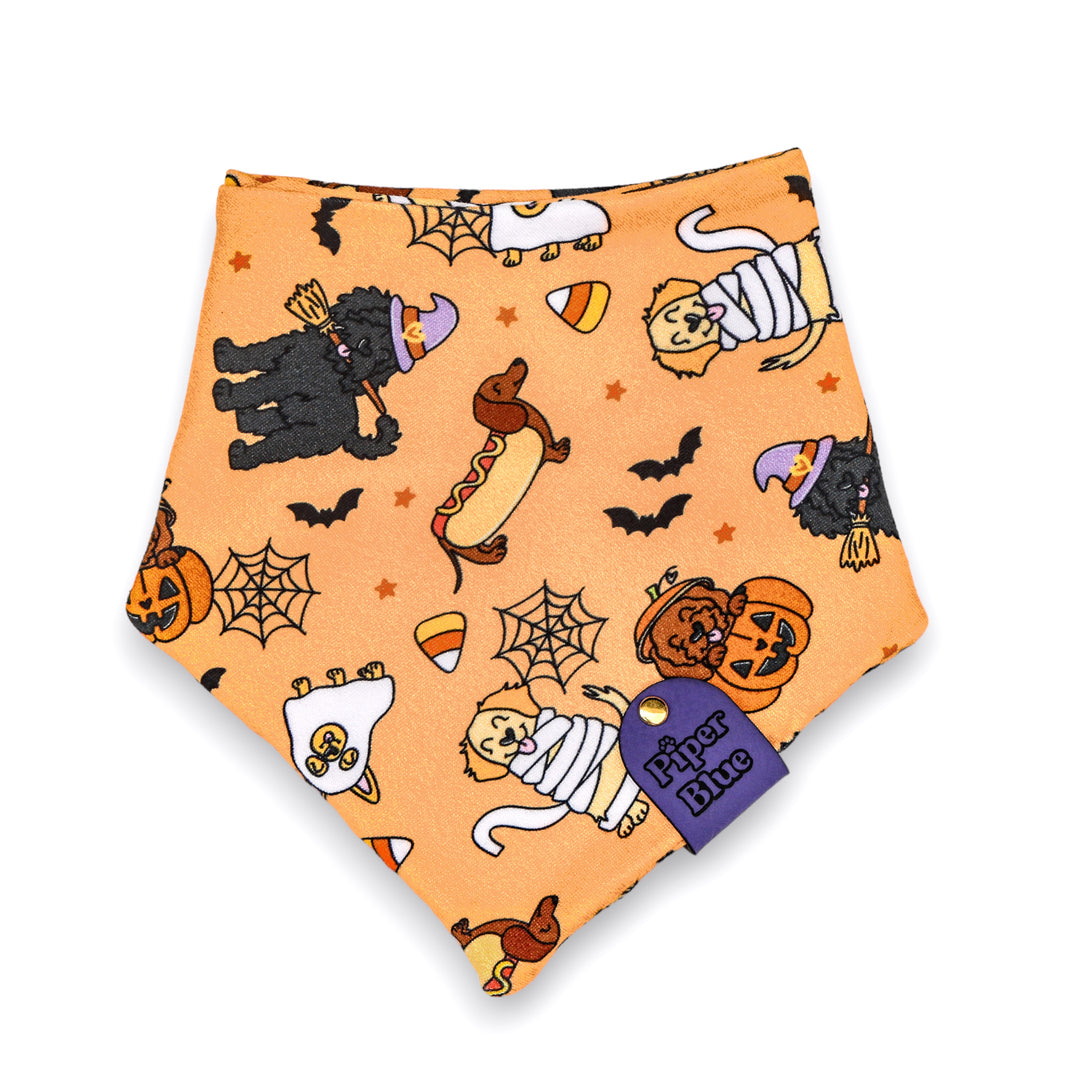 Howlween - Orange Spooky Halloween Dogs Pet Bandana