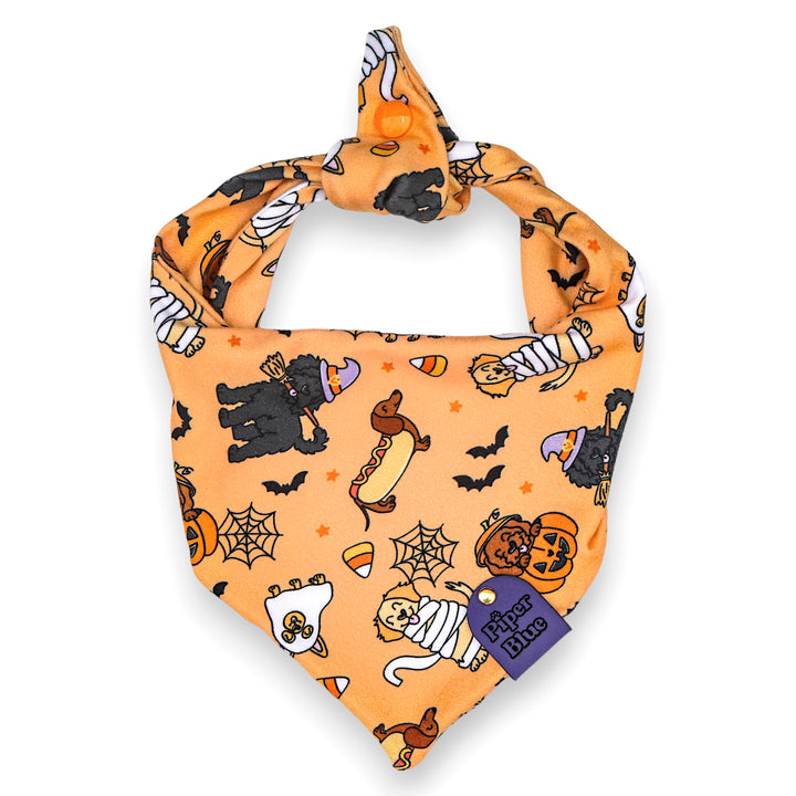 Howlween - Orange Spooky Halloween Dogs Pet Bandana