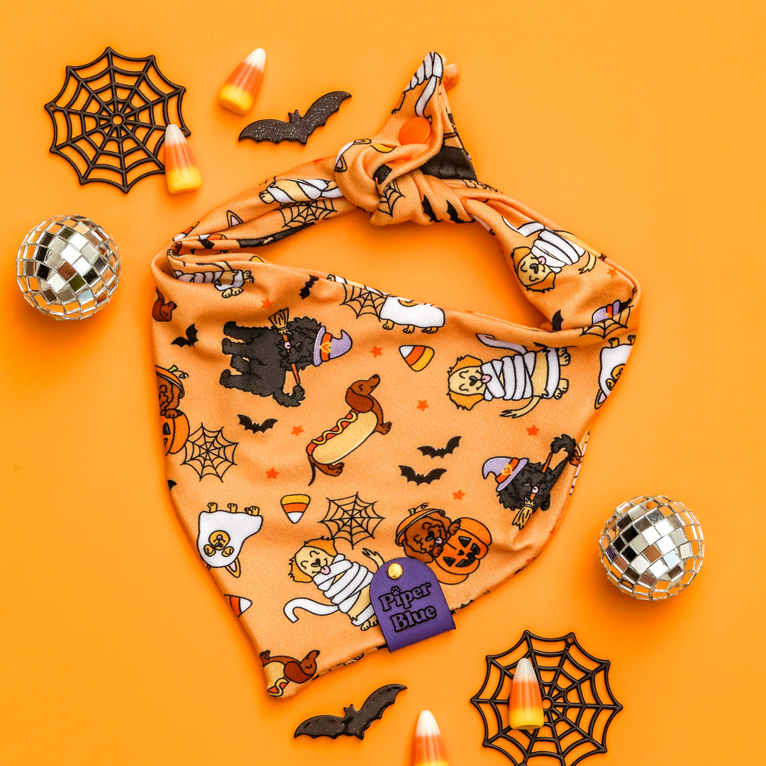 Howlween - Orange Spooky Halloween Dogs Pet Bandana