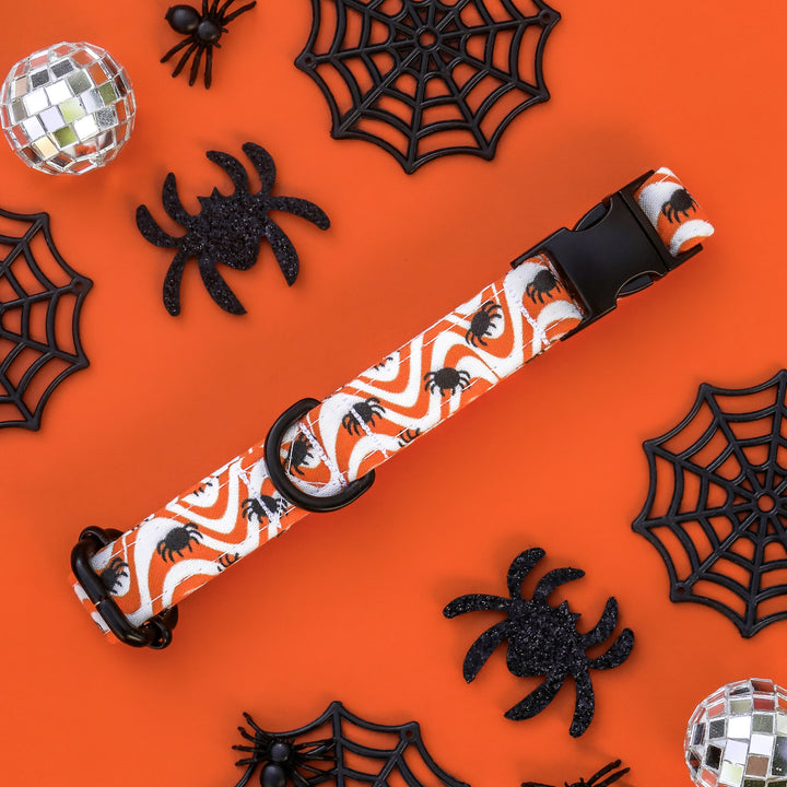 Jeepers Creepers - Groovy Halloween Orange Wavy Spider Dog Collar