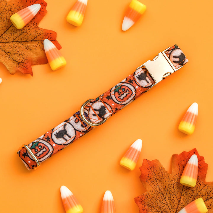 No Tricks, Just Treats - Halloween Cookie Dog Collar