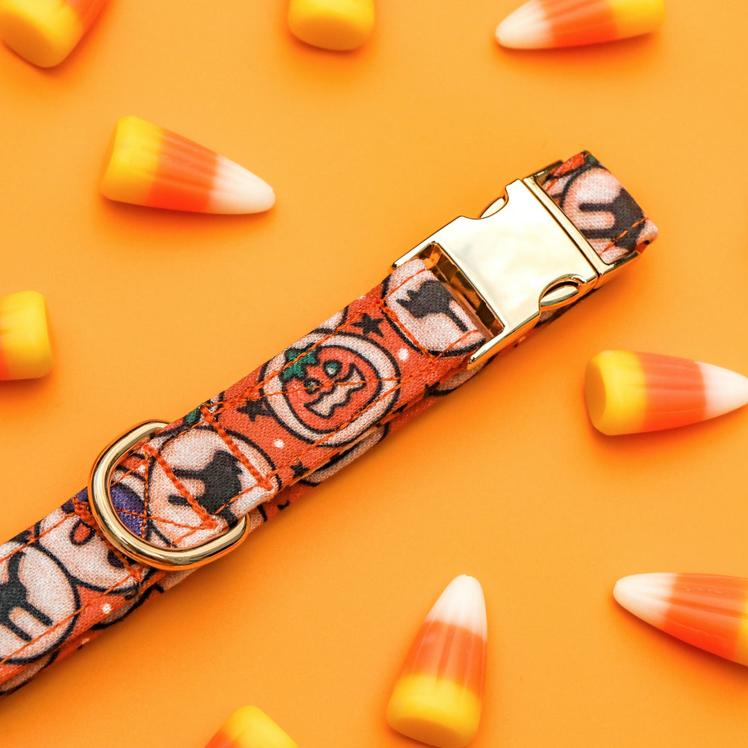 No Tricks, Just Treats - Halloween Cookie Dog Collar