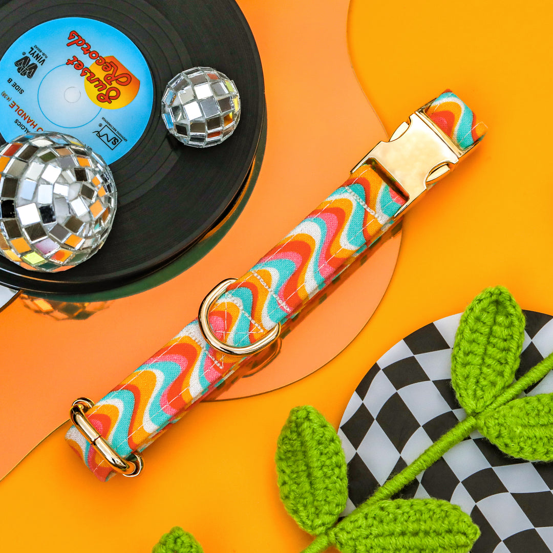 Kaleidoscope - Groovy 70s Wavy Dog Collar