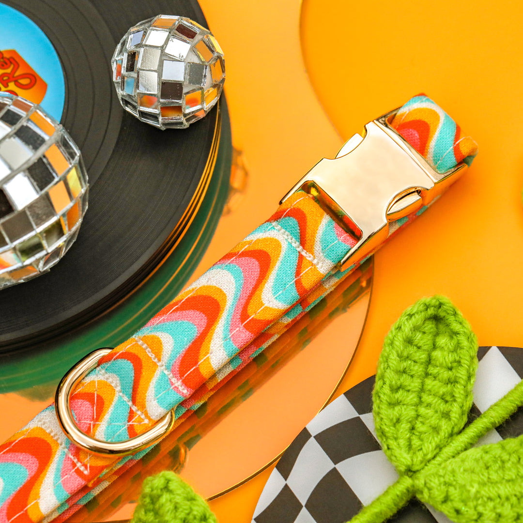 Kaleidoscope - Groovy 70s Wavy Dog Collar