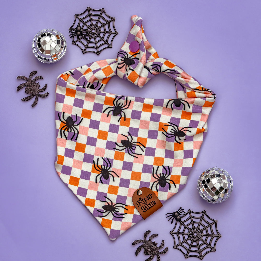 Legs For Days - Multicolor Checkered Spider Halloween Bandana