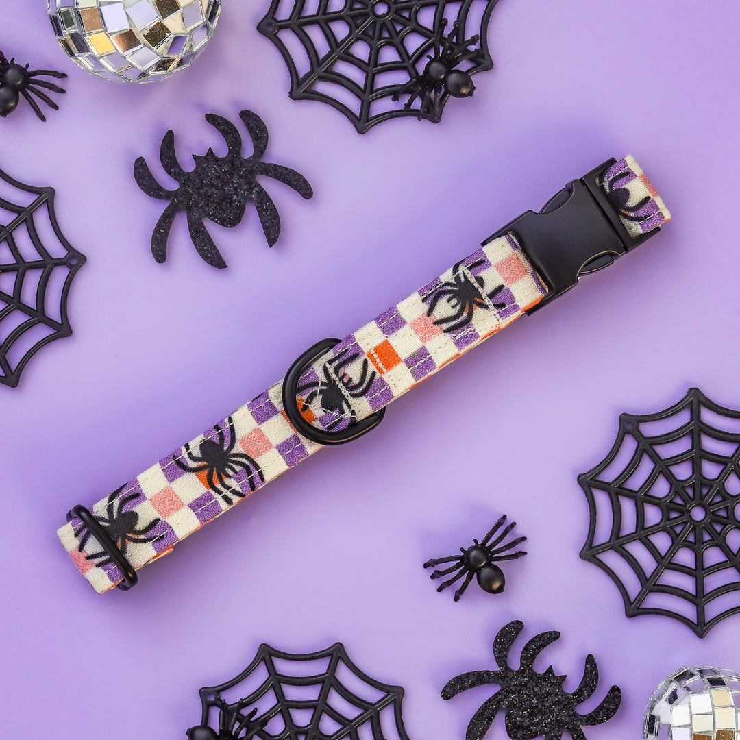 Legs For Days - Groovy Checkered Spider Halloween Dog Collar