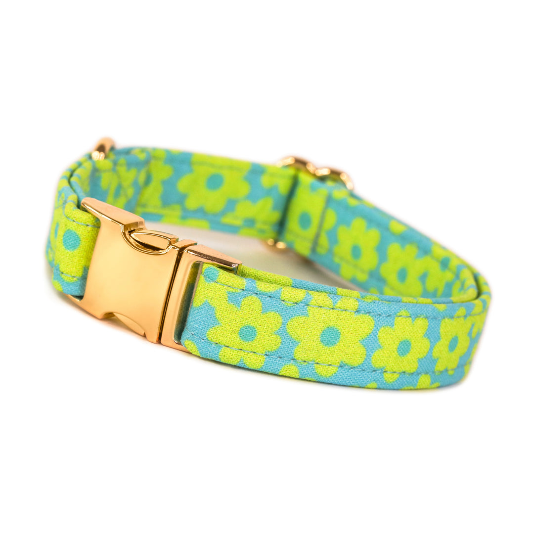 Lizzie - Lime Green Daisy Dog Collar