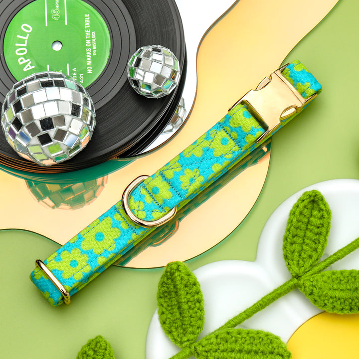 Lizzie - Lime Green Daisy Dog Collar