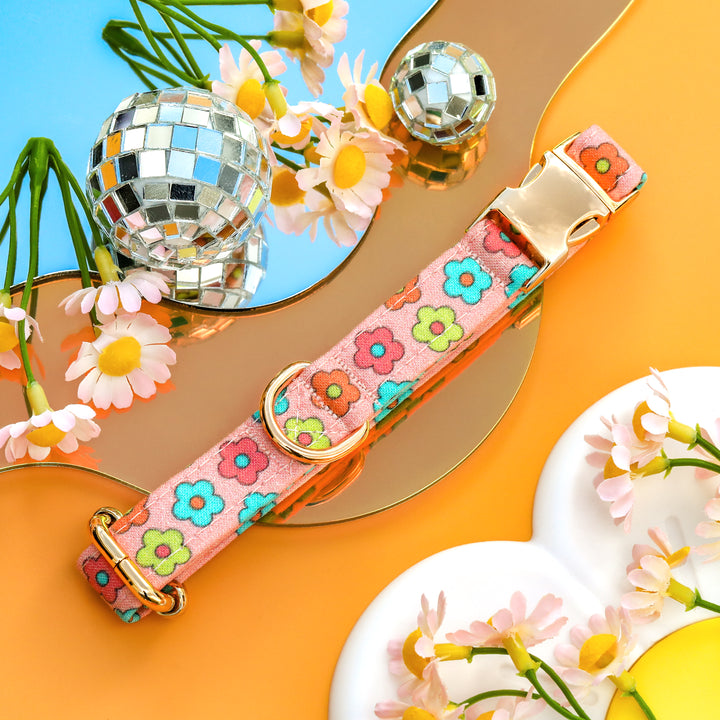 Malibu - Pink Groovy Daisy Dog Collar