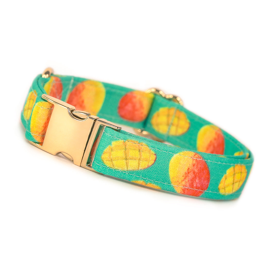 Takes Two To Mango - Mango Dog Collar