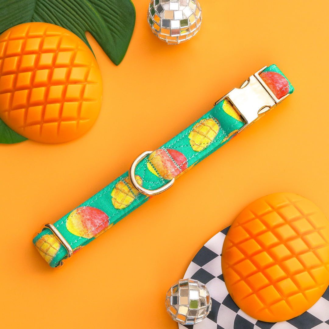 Takes Two To Mango - Mango Dog Collar