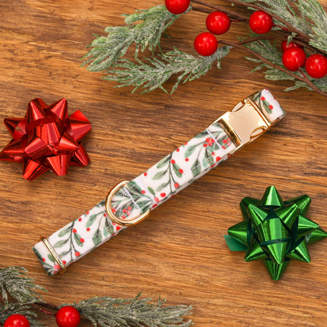 Mistletoe Kisses - Mistletoe Christmas Dog Collar