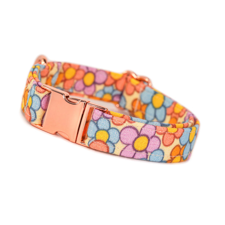 Color Me in Sunshine - Pastel Daisy Dog Collar