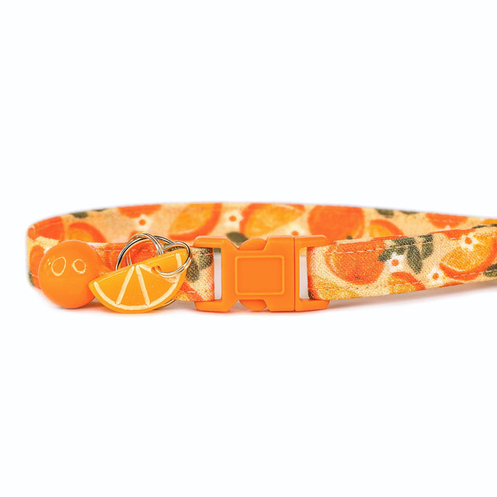 Keep Your Eyes Peeled - Orange Slice Cat Collar