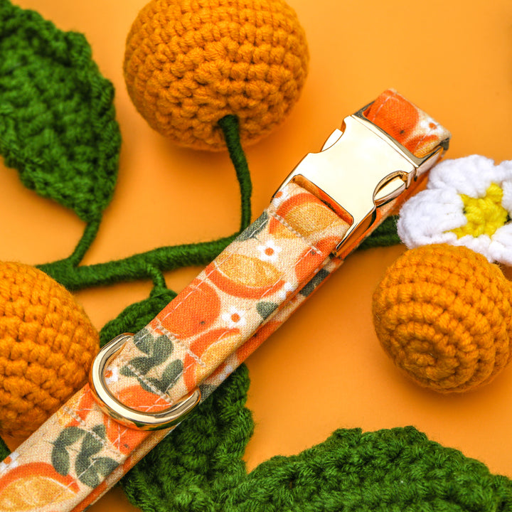 Keep Your Eyes Peeled - Orange Slice Dog Collar