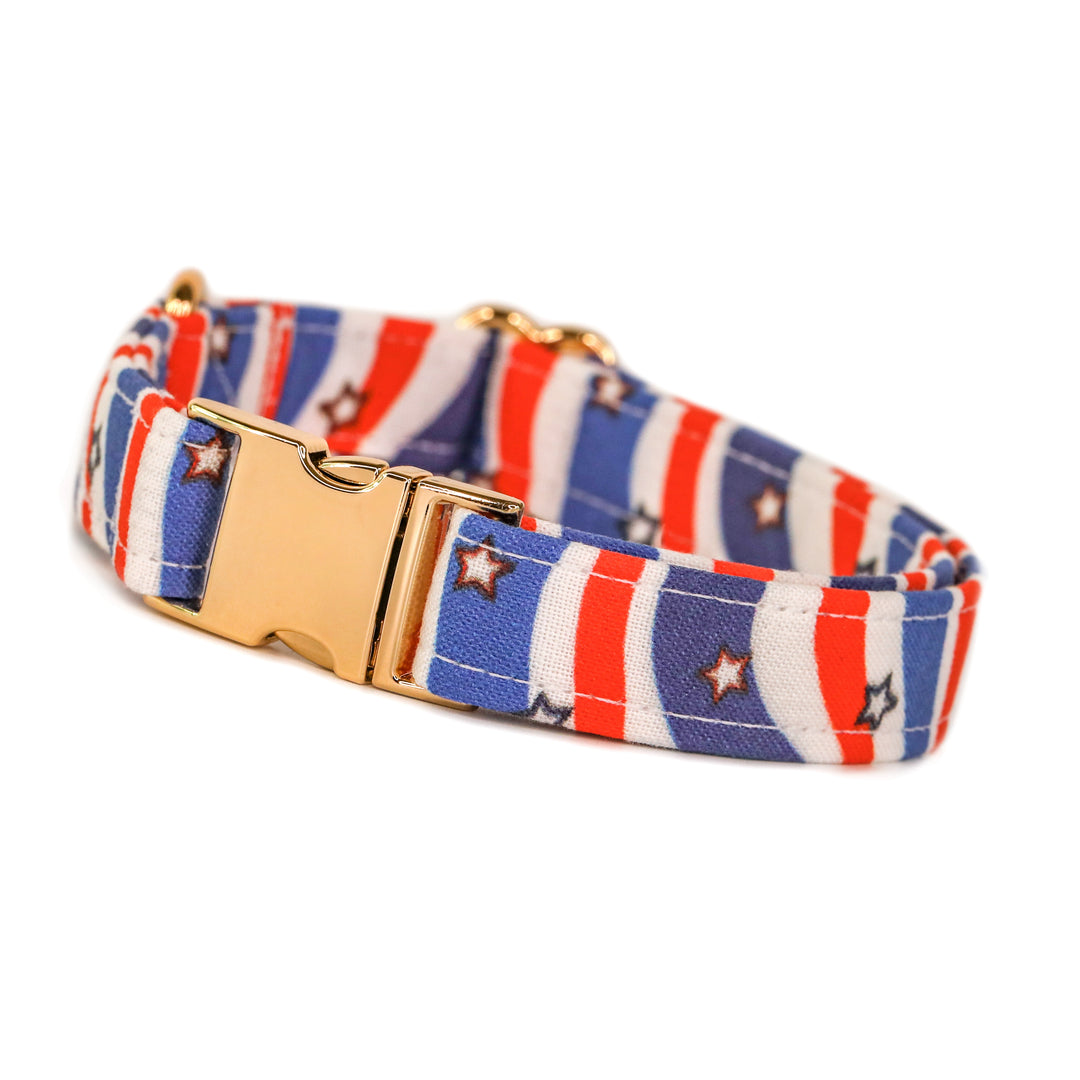 Pawsitively Patriotic - Red, White & Blue Patriotic Dog Collar