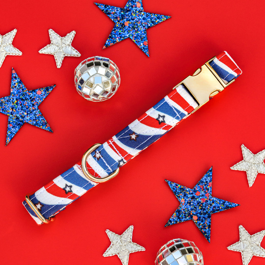 Pawsitively Patriotic - Red, White & Blue Patriotic Dog Collar