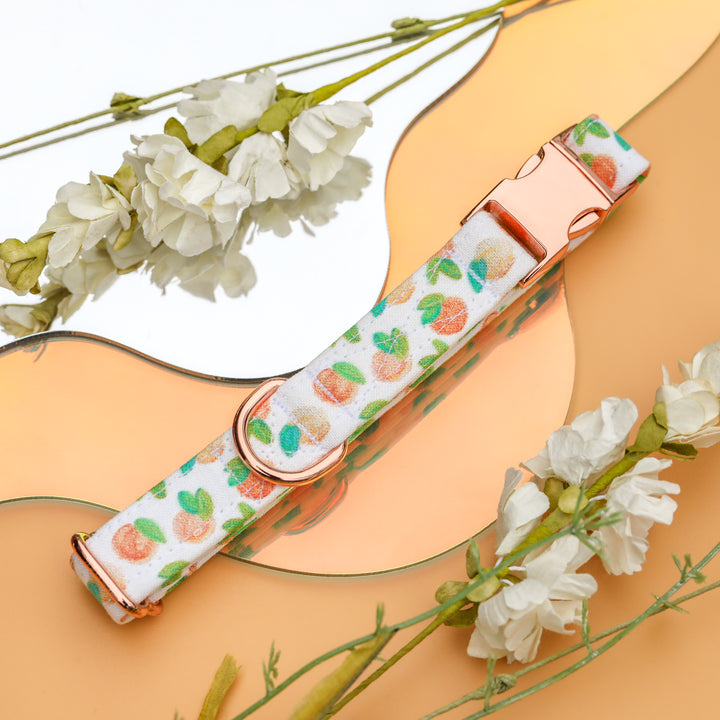 Just Peachy - Peach Dog Collar